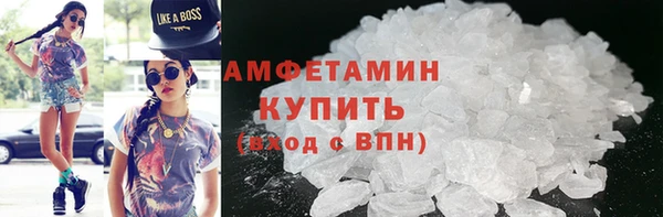 дживик Надым