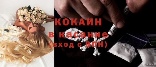 индика Абдулино