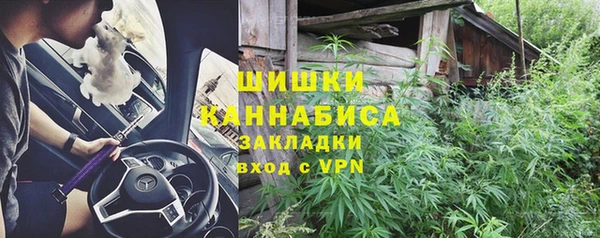 индика Абдулино