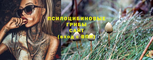 амф Абаза