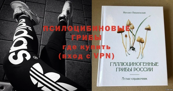 дживик Надым