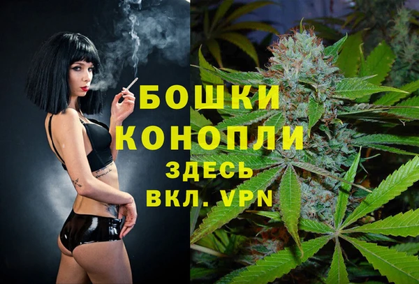 дживик Надым
