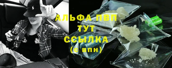 индика Абдулино