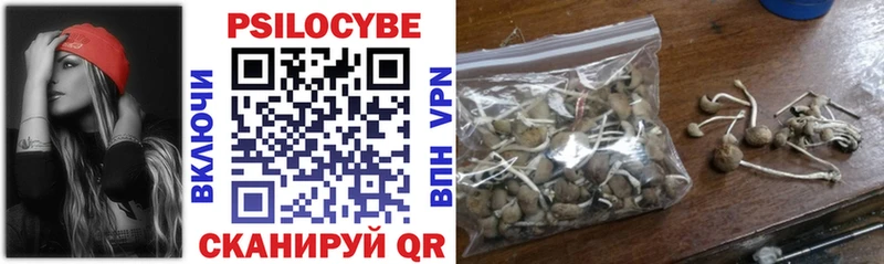 Галлюциногенные грибы прущие грибы  Кисловодск 