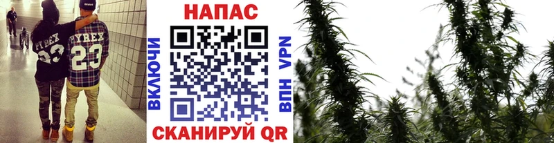 хочу   Кисловодск  МАРИХУАНА LSD WEED 